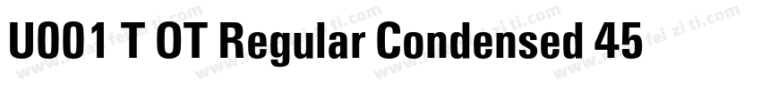 U001 T OT Regular Condensed 45991字体转换
